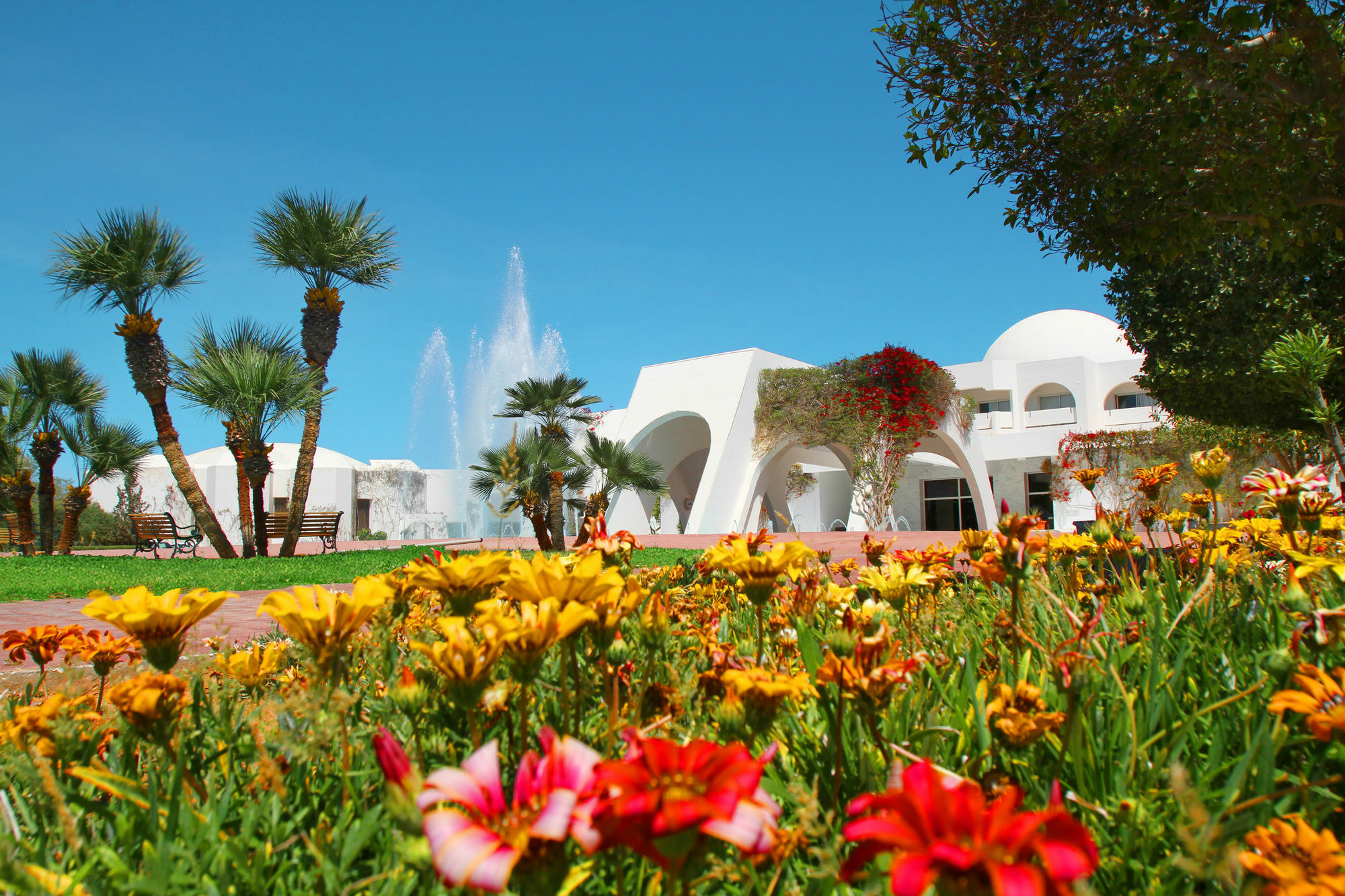 Djerba Plaza Thalasso & Spa Triffa Extérieur photo